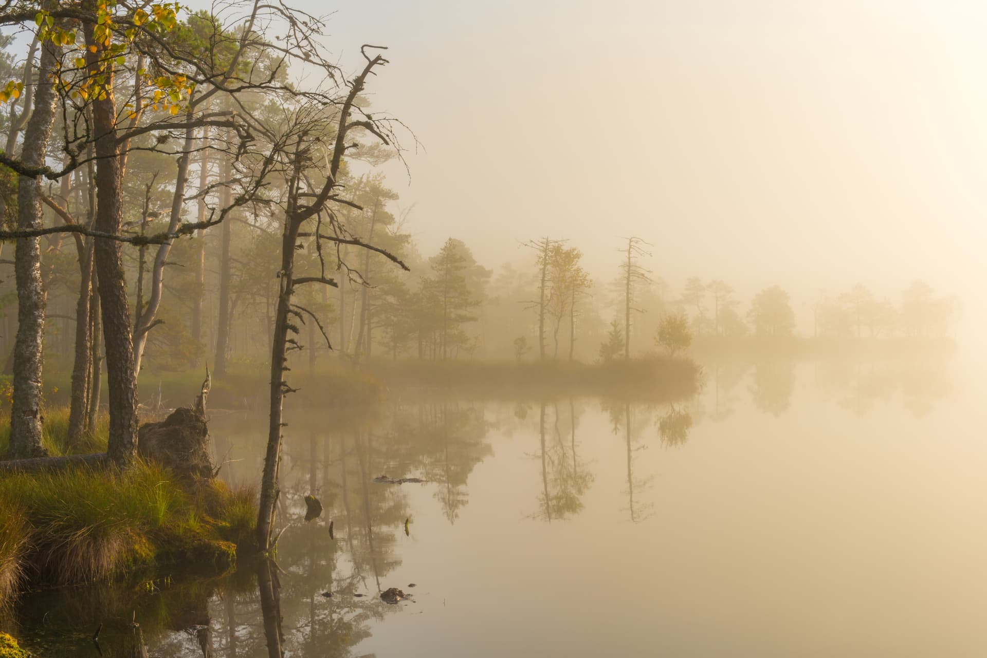 Weather landscape