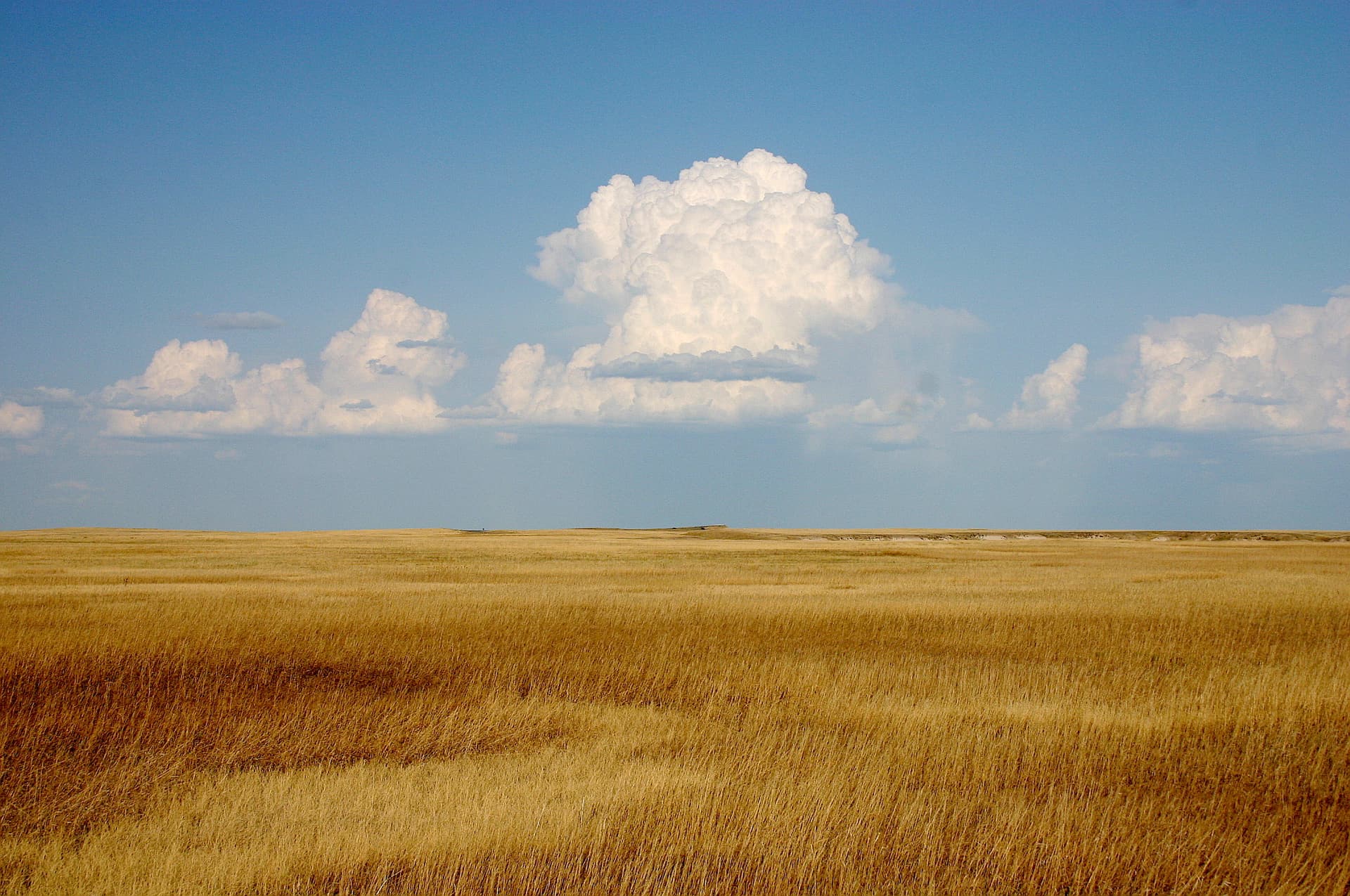 Weather landscape