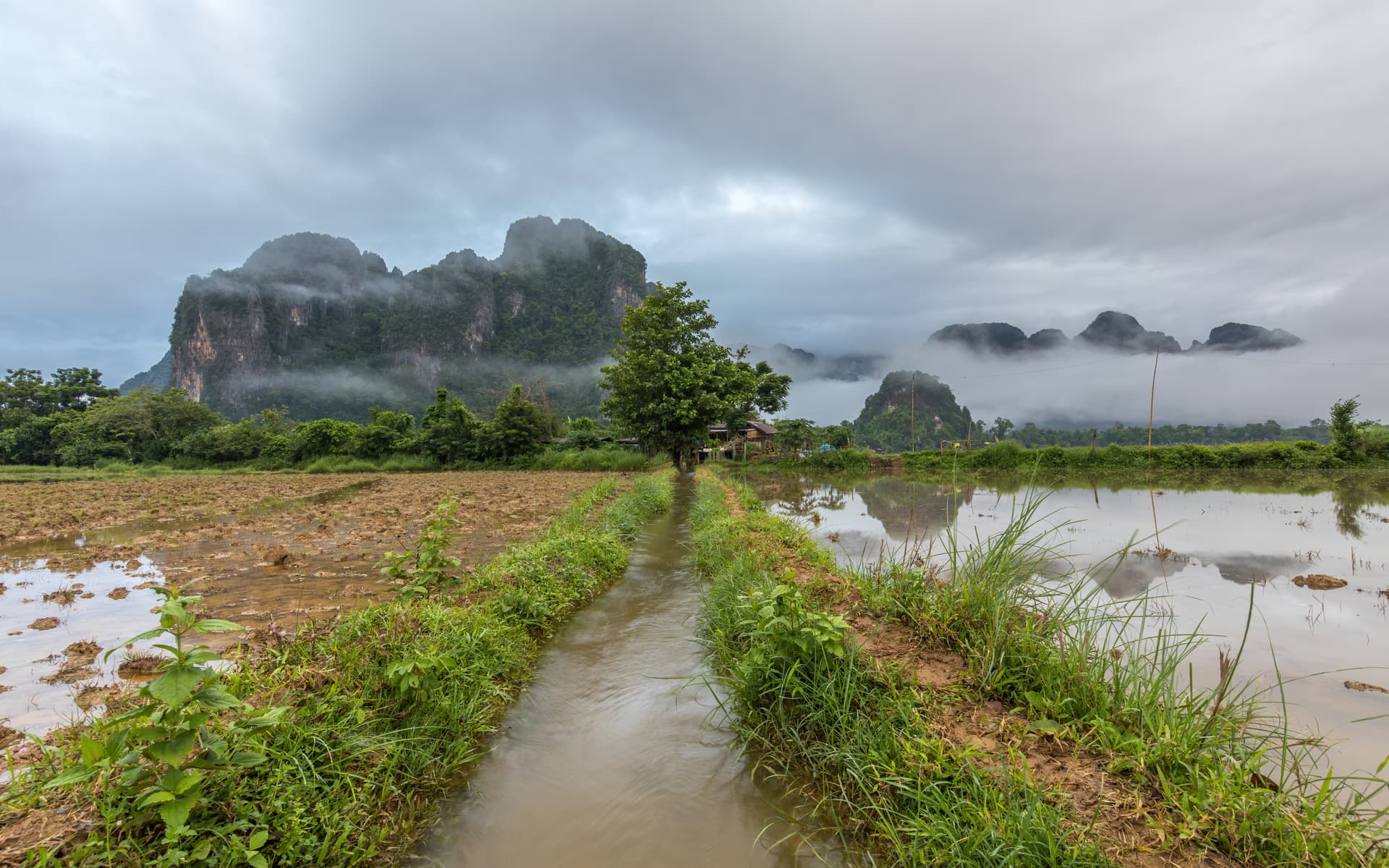 Weather landscape