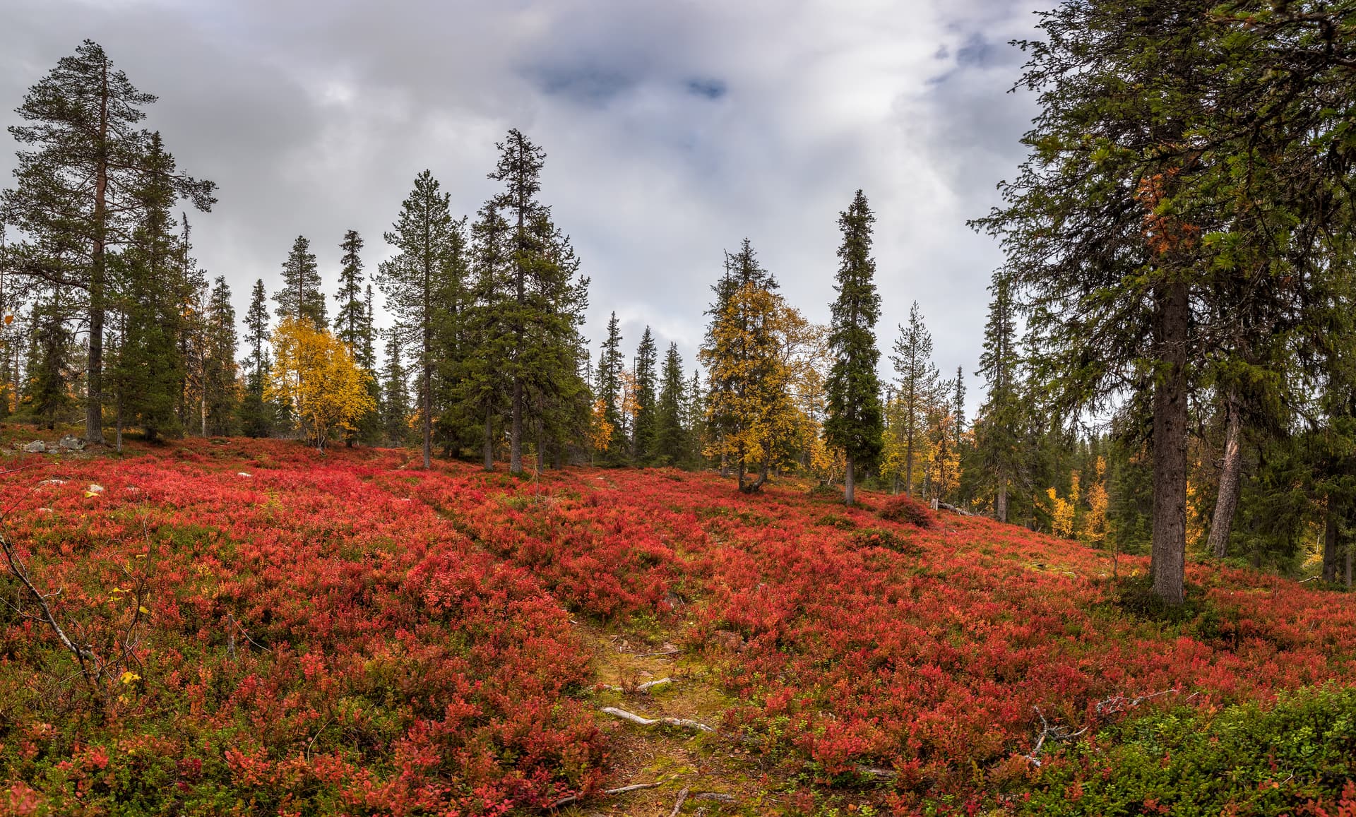 Weather landscape